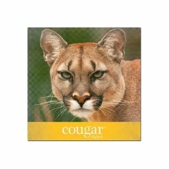 Hot Sale 😉 Domtar Cougar Laser Papers Domtar Cougar Digital 10% Recycled 8.5" X 11" Paper, 70 Lbs., 98 Brightness, 500/Ream, 8 Reams/Carton (2826CASE) 🌟