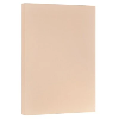 Best deal ✨ Jam® Vellum Translucent Cardstock JAM Paper Vellum Bristol 67 Lb. Cardstock Paper, 11" X 17", Peach Pink, 50 Sheets/Pack (16932839) ✔️ - Image 2